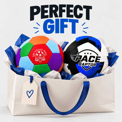 A gift basket presentation featuring two soccer balls nestled in white tissue paper inside a cream paper bag with blue handles. The left ball is multicolor with a 'House Ball' logo, and the right ball is black, white, and blue with a 'PACE Raptor' logo.